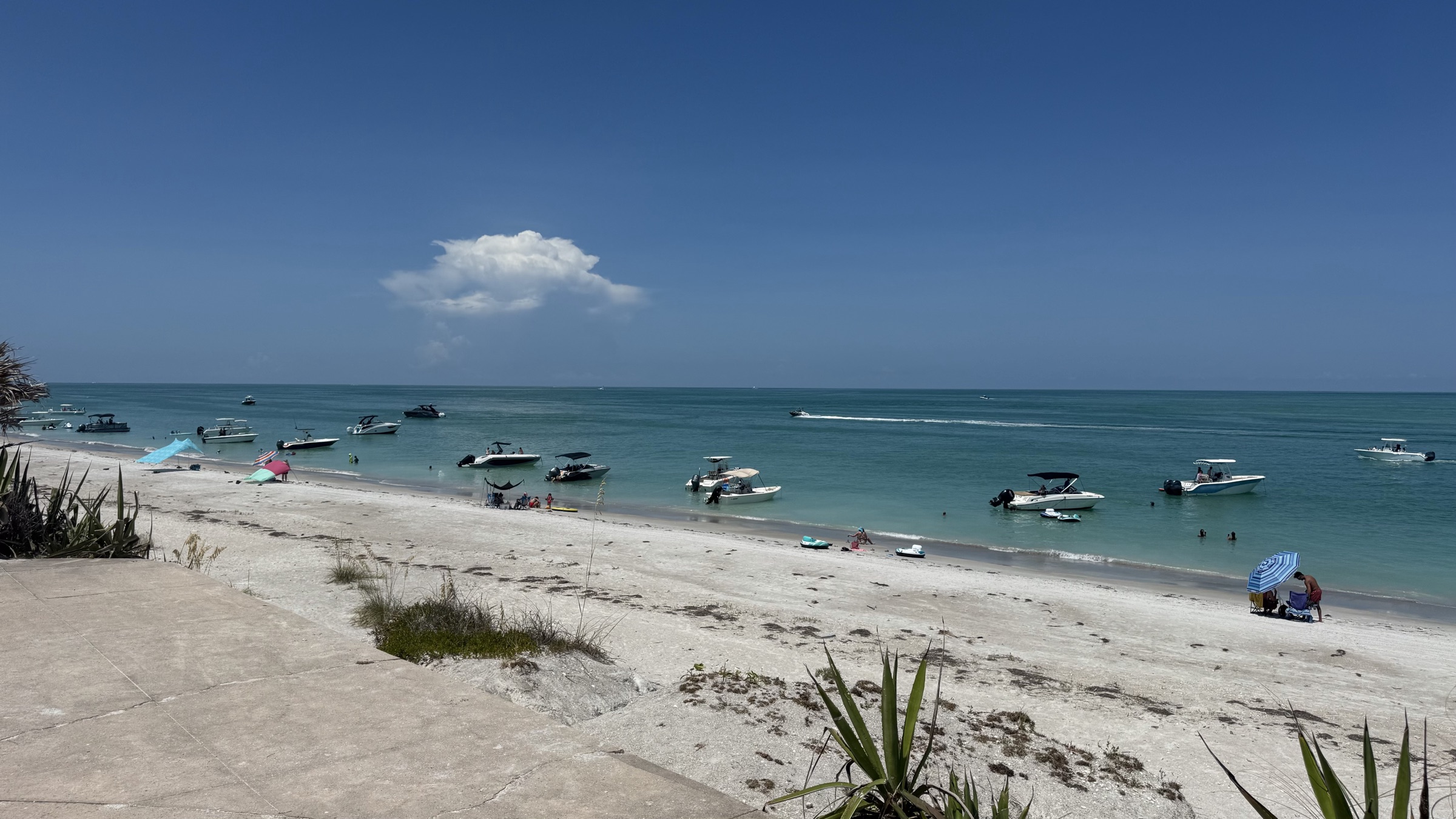 Boats anchored off a quiet white-sand beach in clear Tampa Bay water